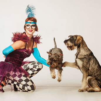 выступления собак